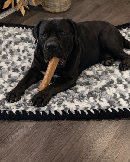 Natural Beef Trachea Dog Chews-Single Ingredient Treat (5 pack)