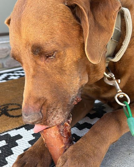 All Natural Smoked Beef Marrow Bone for Dogs