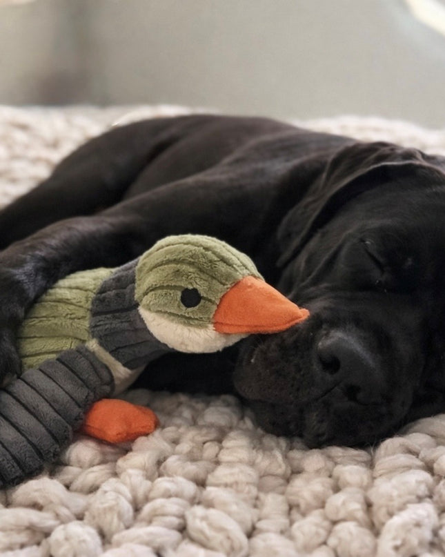 Mountain Cozee Reinforced Plush Duck Squeaky Dog Toy – Durable Soft Cuddle Toy for Small, Medium, and Large Dogs (5" & 12")