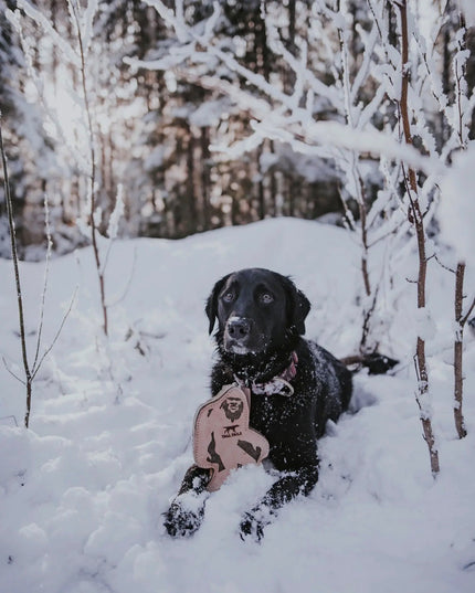 Mountain Cozee Natural Buffalo Hide Bigfoot – Reinforced Leather & Wool-Felt Interactive Dog Toy (9”)