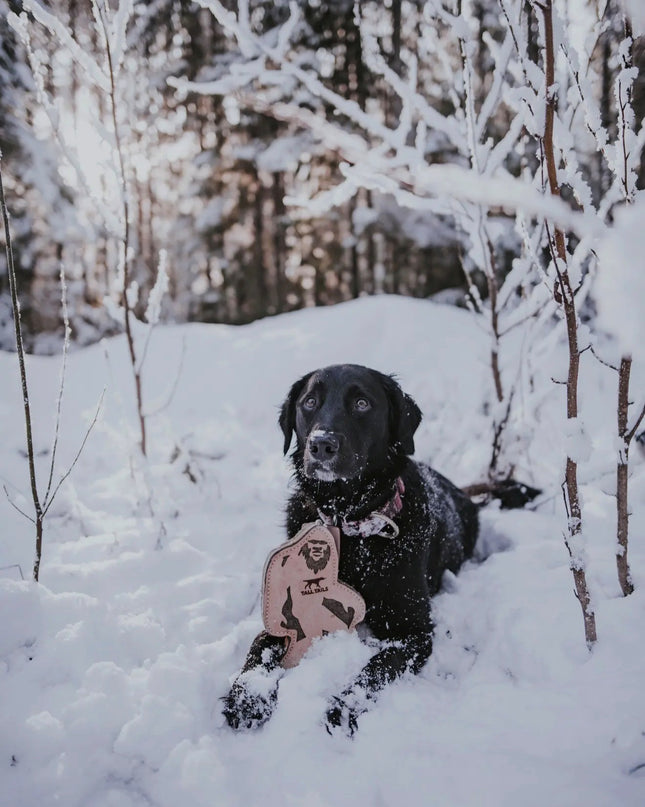 Mountain Cozee Natural Buffalo Hide Bigfoot – Reinforced Leather & Wool-Felt Interactive Dog Toy (9”)