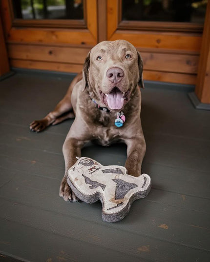 Mountain Cozee Natural Buffalo Hide Bigfoot – Reinforced Leather & Wool-Felt Interactive Dog Toy (9”)