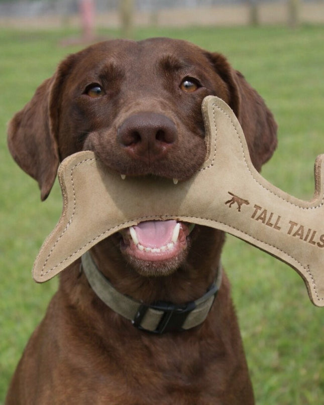 Mountain Cozee 11” Natural Leather Antler Dog Toy – Durable Buffalo Hide & Coconut Fiber Tug Toy – Interactive Fetch Toy for Medium & Large Dogs