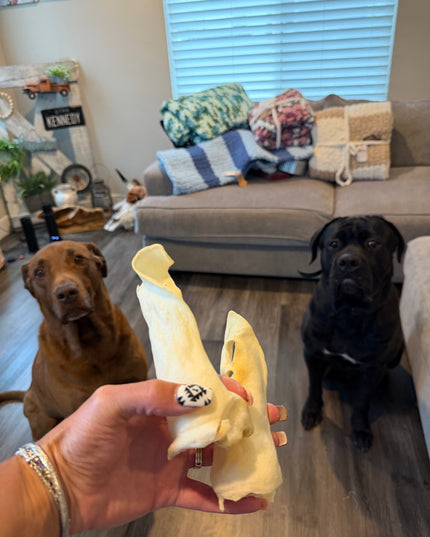Natural Sheep Ears for Dogs | Single-Ingredient Dog Chews – 3 Pack