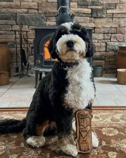 Mountain Cozee 9” Natural Leather & Wool Dog Toy – Durable Buffalo Hide & Wool-Felt Log – Interactive Tug & Fetch Toy for Medium & Large Dogs