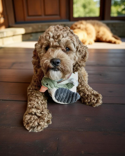 Mountain Cozee Reinforced Plush Duck Squeaky Dog Toy – Durable Soft Cuddle Toy for Small, Medium, and Large Dogs (5" & 12")