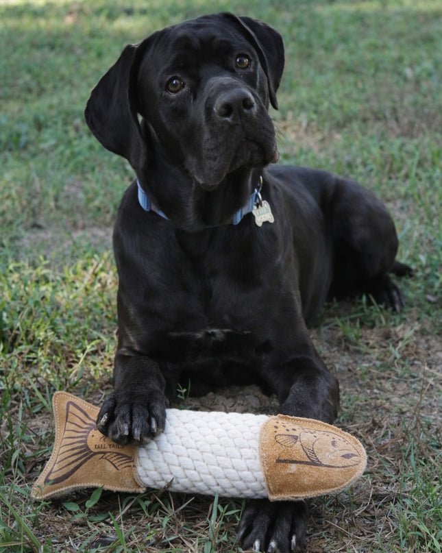 Mountain Cozee Natural Leather Crunch Fish Rope Dog Toy