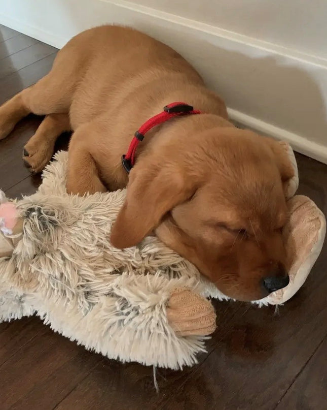 Mountain Cozee 14” Plush Yeti Dog Toy – Durable Rope Skeleton & Reinforced Mesh Lining – Squeaky Soft Toy for Medium & Large Dogs