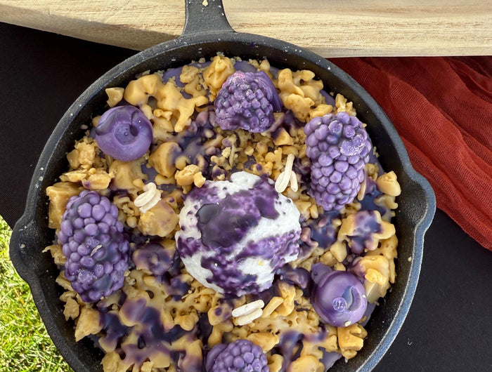 <h1>Pet & Candles</h1><h3><span style="text-decoration:underline"><strong>COLLECTIONS</strong></span></h3>