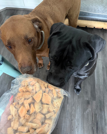 3oz Wild-Caught Freeze Dried Salmon Dog Treats | High Protein & Omega-3 Rich