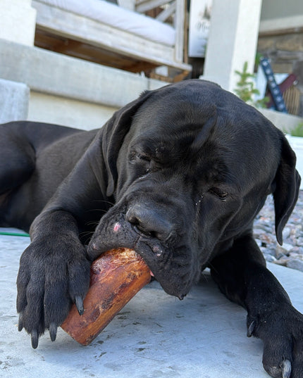 All Natural Smoked Beef Marrow Bone for Dogs