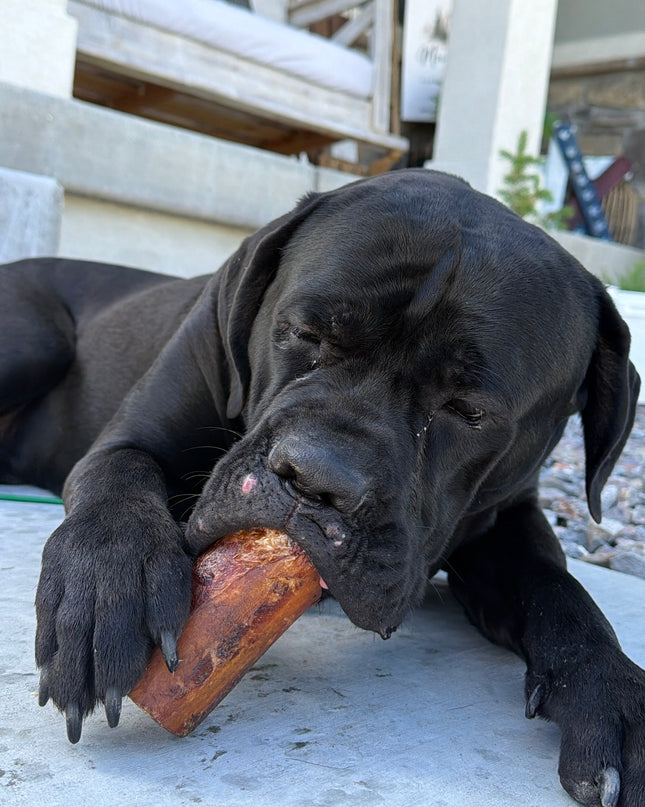 All Natural Smoked Beef Marrow Bone for Dogs