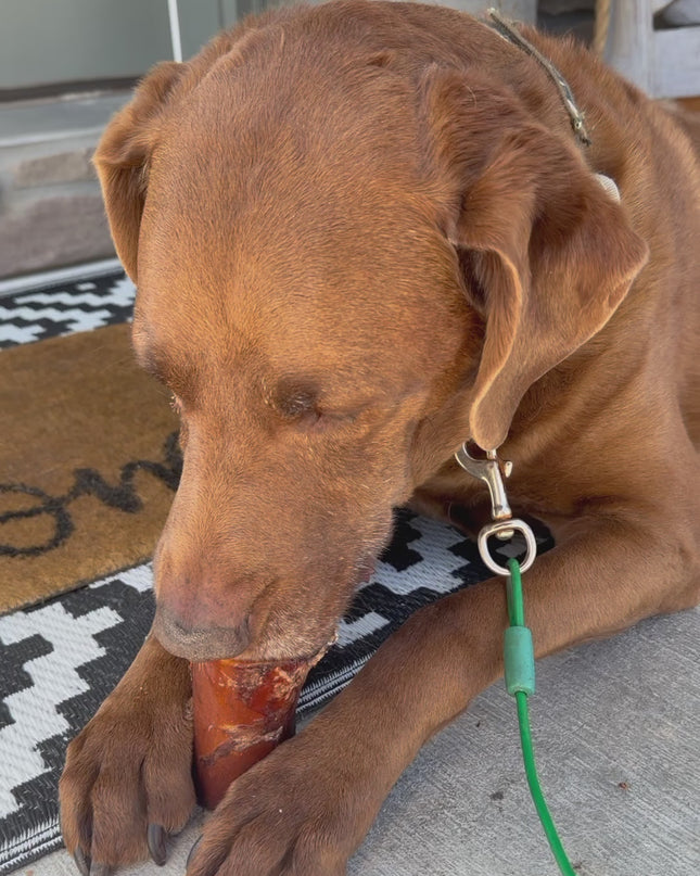 All Natural Smoked Beef Marrow Bone for Dogs