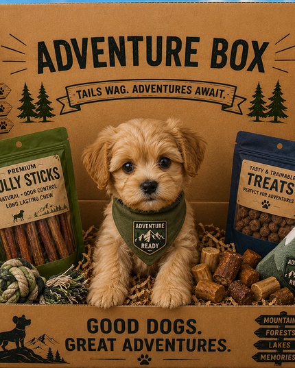 Dog-themed 'Adventure Box' with treats and toys, featuring a puppy inside.